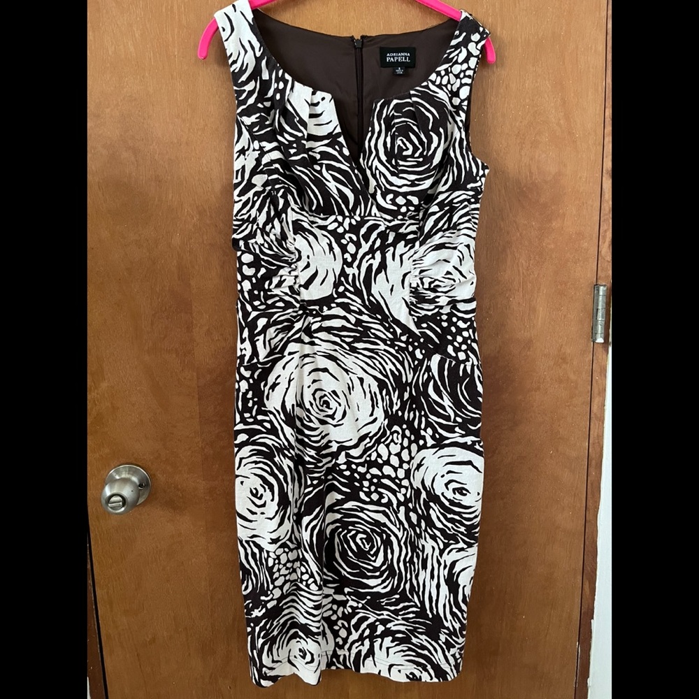 Adrianna Papell Size 8 Dress Brown